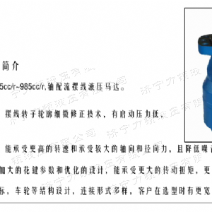 BMH系列并列油口乐动手机登录入口马达