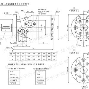 BMH系列交错油口乐动手机登录入口马达